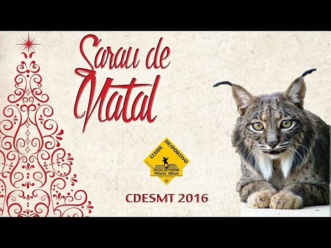 XI Sarau de Natal CDESMT 2016 - Linces
