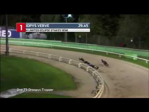 2018 MSCM ECLIPSE STAKES - 2ND SEMI - T1 DROOPYS VERVE