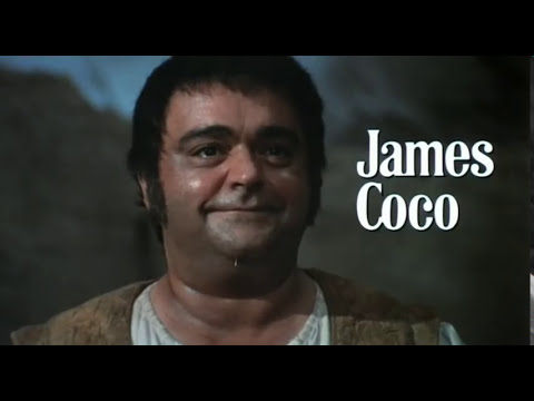 Stage-like tableau of Don Quixote facing his imagined foes, echoing musical staging