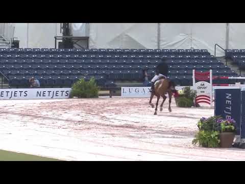 Tosca de l’Esques - 2007 SF mare (Cardento x Apache d’Adriers)