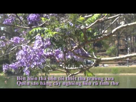 Đà Lạt trong niềm nhớ - Diễm Liên