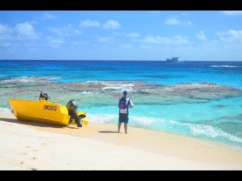 Coral Sea Fishing Video!! South Diamond Islet!!