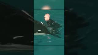 Killer Whale Drags Trainer Underwater — Miraculous Survival!