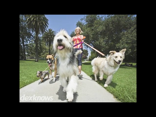 Sabino Canyon Pet Resort - Tucson, AZ