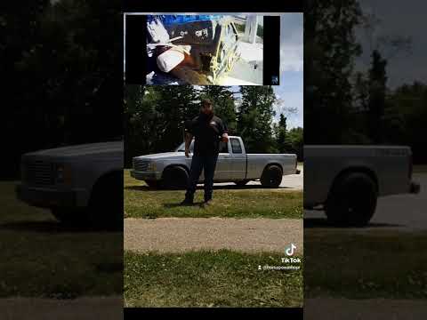 Ford's INDESTRUCTIBLE Engine! (The 300-6)