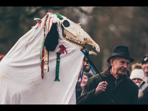 Y Mari Lwyd yn Sain Ffagan! The Mari Lwyd in St Fagans!