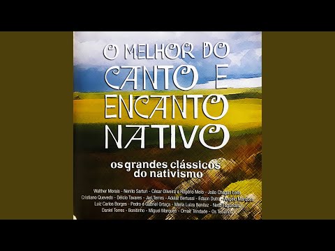 Sangue de Gaúcho (Ao Vivo)