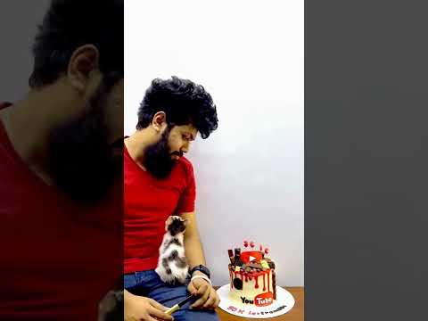 මෙච්චර ලස්සන cake එක කපන්නෙ කොහොමද කියල බලන් ඉන්න පූසයි මමයි