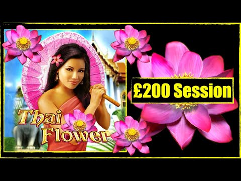 £200 Session on Thai Flower Many More. BOOKIES SLOTS UK. FOBT.