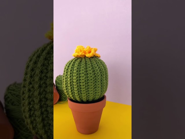 Vídeo relacionado con ASTNIC Kit de crochet para principiantes, 4 Piezas Cactus en macetas de Plantas de Ganchillo, Crochet Kits con Agujas de Ganchillo e Hilo de Lana Tutoriales en Video Paso a Pas, Manualidades DIY