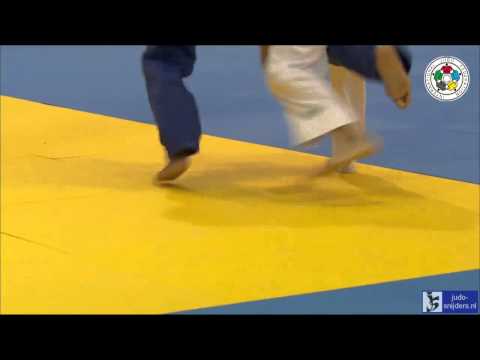 Judo 2014 Grand Prix Dusseldorf: Zhang (CHN) - Tcheumeo (FRA) [-78kg] bronze