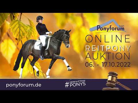 Cassidy AP Hengst 2017 v. Cosmopolitan D NRW / Casino Royale K