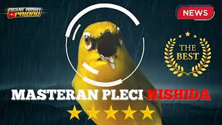 Download lagu Lagi Viral | Audio Asli Pleci Nishida Burung Pleci Terbaik Cocok Untuk Mastering Burung Pleci Jawara mp3 Download lagu Lagi Viral | Audio Asli Pleci Nishida Burung Pleci Terbaik Cocok Untuk Mastering Burung Pleci Jawara mp3