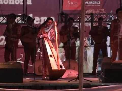 Pájaro campana Mariachi Internacional Guadalajara en Xico Veracrúz