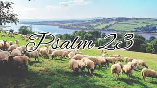 Psalm 23  NLT Audiovisual