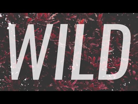 Cameron Ernst - Wild (Lyric Video)