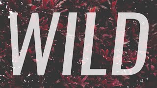 Cameron Ernst - Wild (Lyric Video)