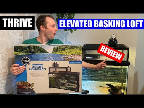 Thrive Elevated Basking Loft Full Setup and Review! - THIS IS IT!