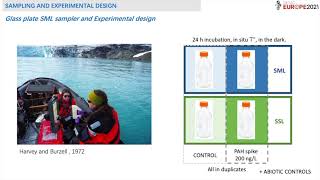 Particle-associated bacteria in SML is the major player in PAH biodegradation in Antarctica