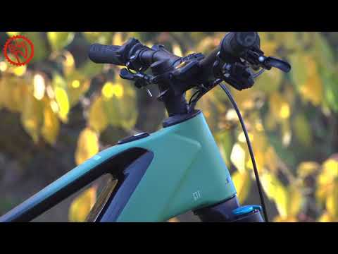 Test Stevens E-Inception AM 8.7 GTF