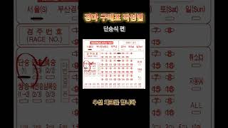 [마권연구소] 경마 초보를 위한 마권 구매 가이드 (단승식 편)