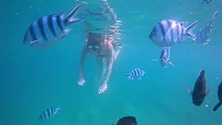 Семья из 4 друзей из России пошла купаться на пляж Нячанг, остров Хон Мун.