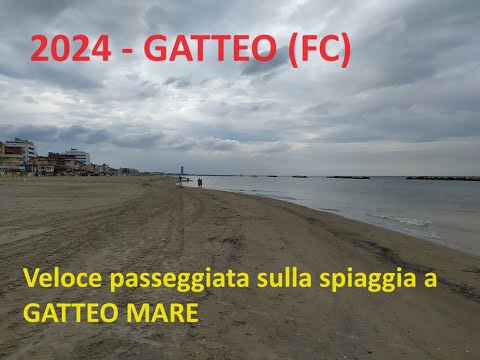 2024 - GATTEO (FC) - A quick stroll on the beach in Gatteo Mare