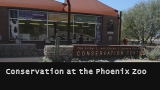 preview picture of video 'Conservation at the Phoenix Zoo'