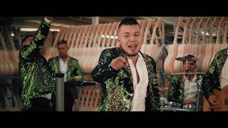 El Gavilán Pollero Lyrics English Translation