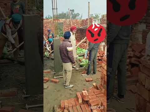 #dogshorts #dog #farmer #newvideo #2025shorts #trending #virlreels #