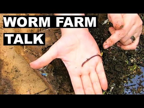 Lasagna Worm Compost Bin - Talk about feeding and water