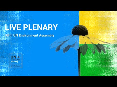 UNEA -5 Adjournment Plenary - English