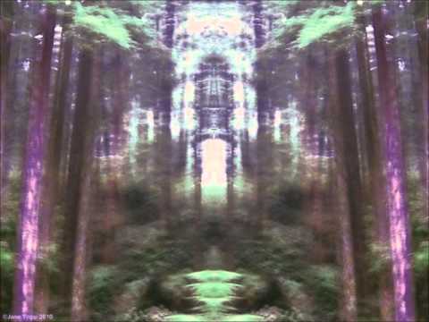 The Same - Ayahuasca