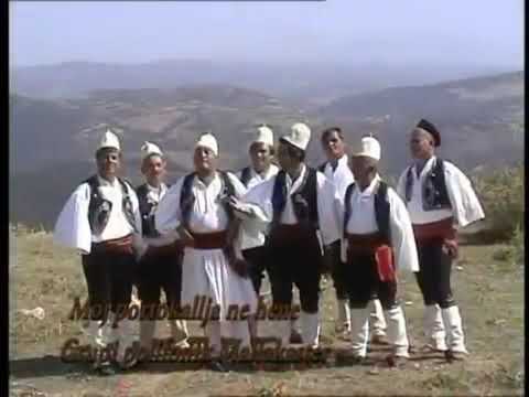 VLADIMIR SHEHAJ. MOJ PORTOKALLJA NE HENE