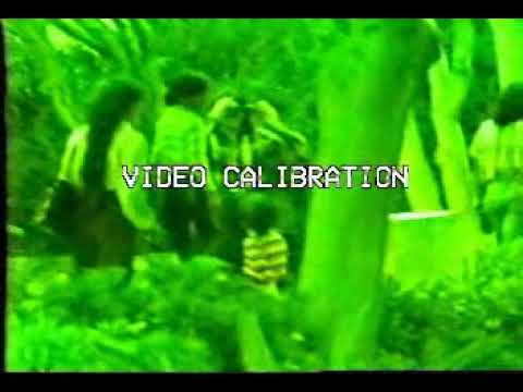 1982 vhs 2h sp capture.wmv -  Personal Home Videos-