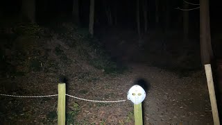 心霊スポット生配信　森の中の城址にリベンジミッションを仕掛ける！