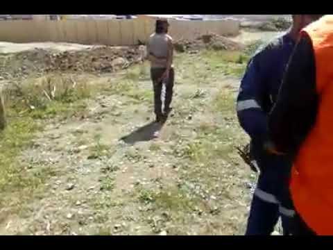 Enfierradores locos de puerto montt