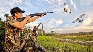 How to Shoot, Clean & Cook Wild Dove Bird!