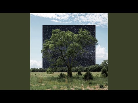 Video thumbnail for We Watch The Stars
