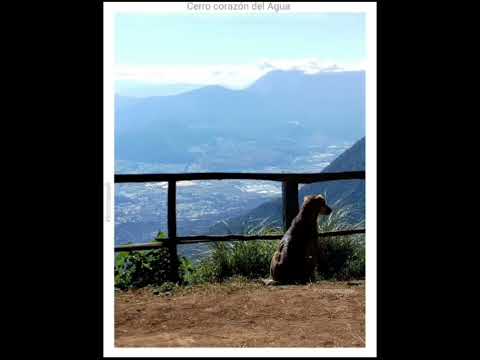 El Guía de Montaña