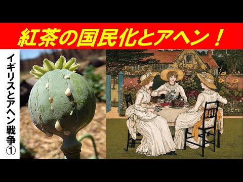 歴史文化学科 「イギリスとアヘン戦争」第１回　紅茶の国民化とアヘン！