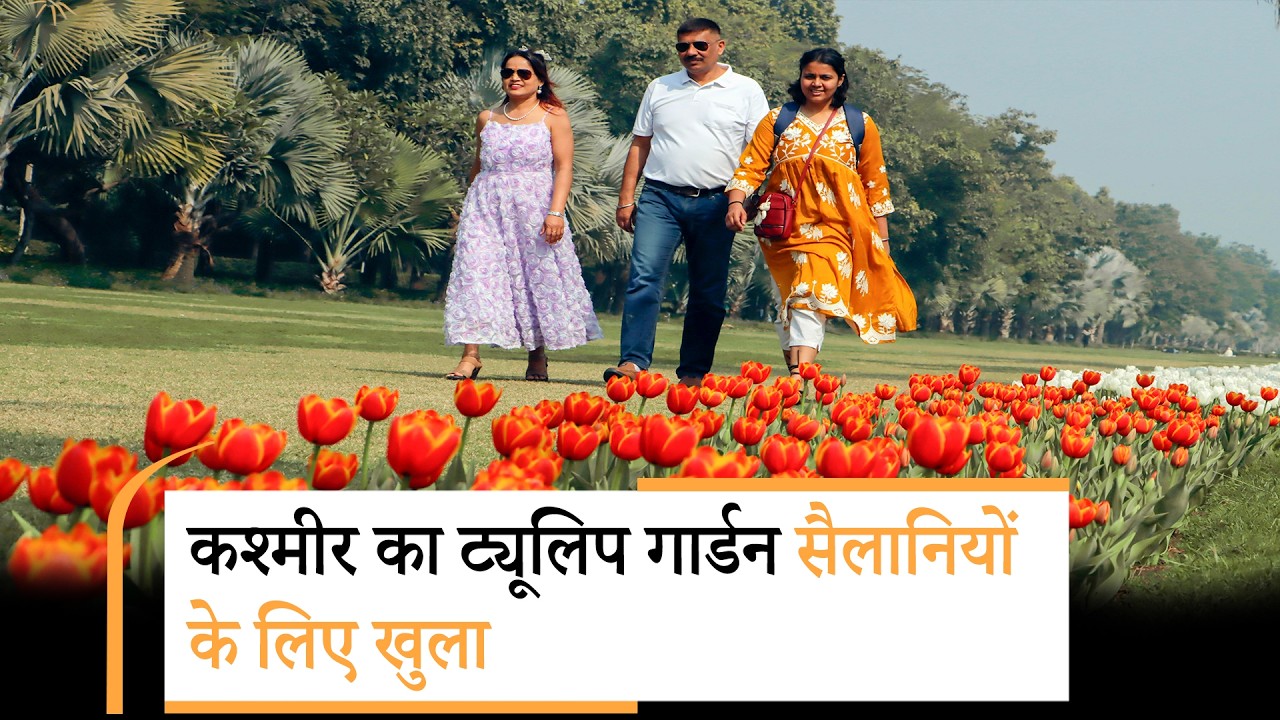 Kashmir में छाया बसंत का जादू, Asia का सबसे बड़ा Tulip Garden पर्यटकों के लिए खुला, उमड़ रहे सैलानी