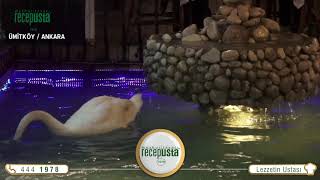 Meşhur Tavacı Recep Usta |  Ankara Ümitköy