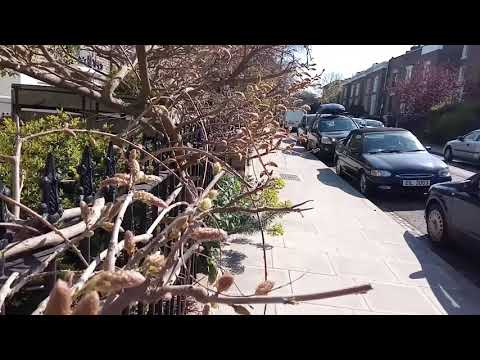 Ulefone Power 3s Bright Sun Camera Test - 1080p - Default App