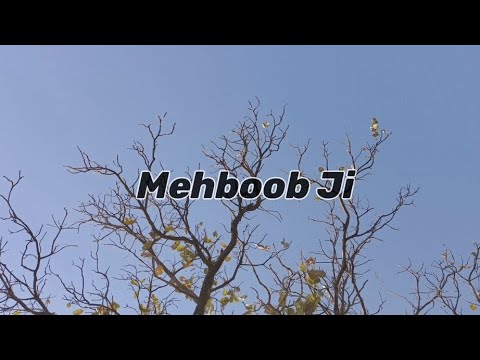 MEHBOOB JI | Satinder Sartaj | lyrical video #satindersartaaj