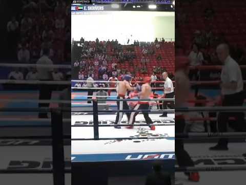 Chasing Glory The Fighters‘ Pursuit of UFC Championship Gold