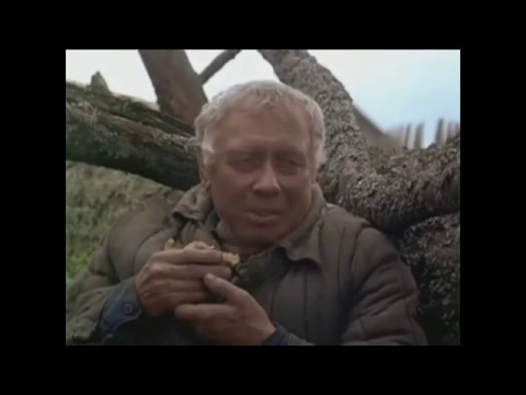 НБ (Ниматив & Бармалей) - Кино про войну