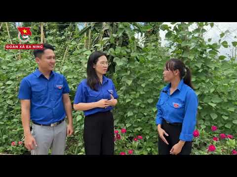 phat-huy-hieu-qua-nguon-von-tin-dung-chinh-sach-thanh-nien-ea-ning-lap-nghiep-voi-mo-hinh-trong-dau-co-ve