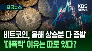비트코인 급락: 안전자산으로서의 한계와 새로운 전망