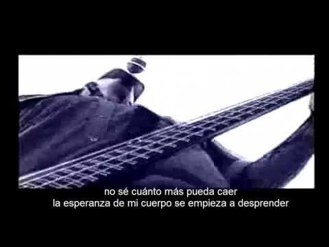 Muscaria - Afecto alterado con Letra